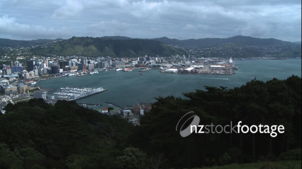 Wellington City New Zealand 1 1011
